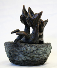 nestdrang-Janna van de Kaa